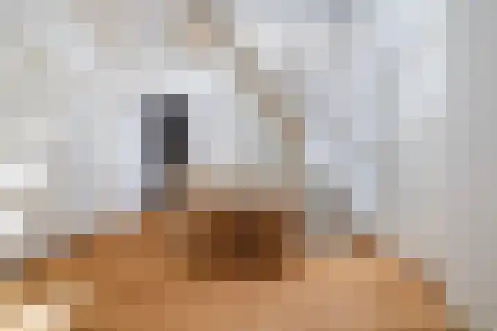 Delpratsingel 7 A Breda thumbnail 26