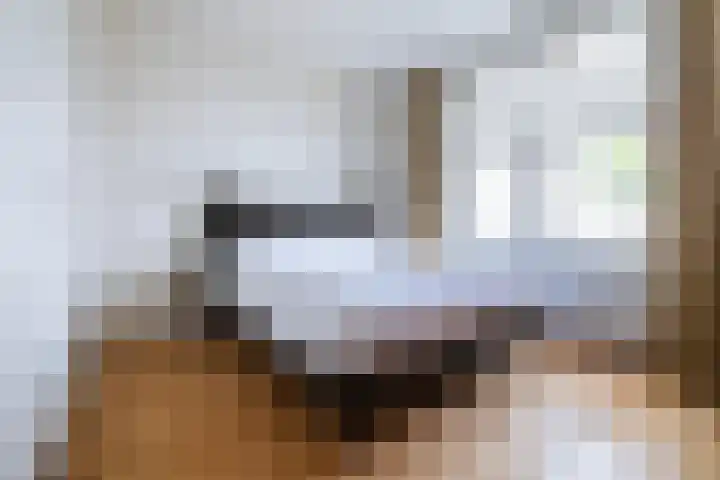 Delpratsingel 7 A Breda thumbnail 29