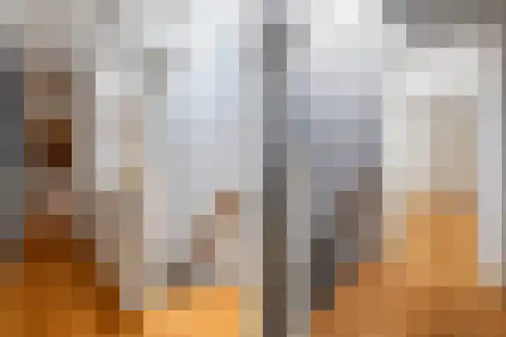 Delpratsingel 7 A Breda thumbnail 32