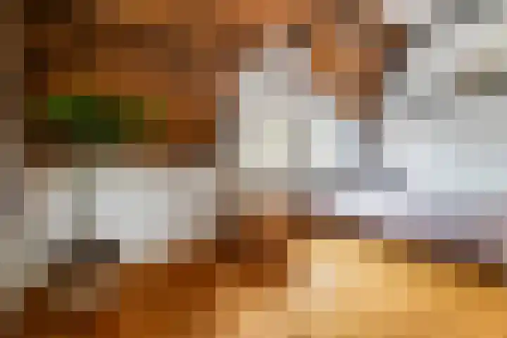 Delpratsingel 7 A Breda thumbnail 37