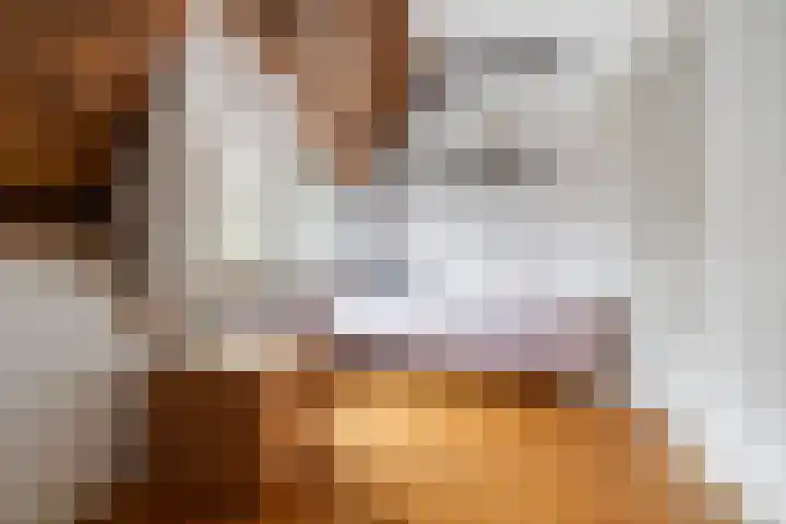 Delpratsingel 7 A Breda thumbnail 38