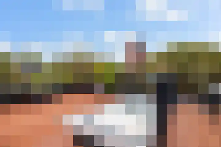 Delpratsingel 7 A Breda thumbnail 42