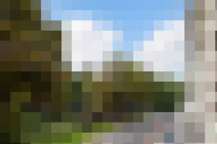 Delpratsingel 7 A Breda thumbnail 44