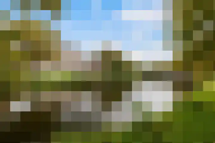 Delpratsingel 7 A Breda thumbnail 45