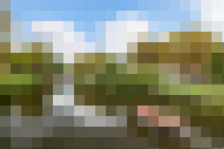 Delpratsingel 7 A Breda thumbnail 46