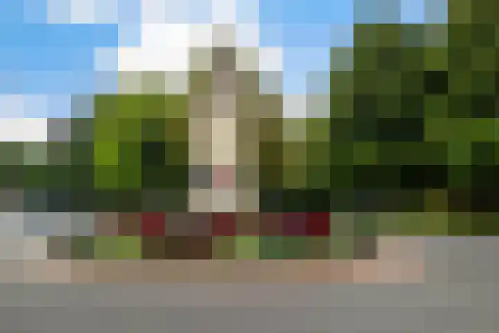 Delpratsingel 7 A Breda thumbnail 47