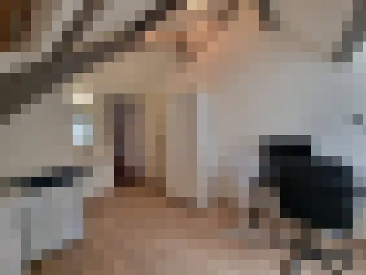 Delpratsingel Breda thumbnail 4