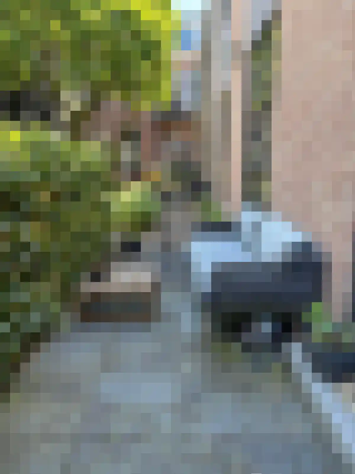 Delpratsingel Breda thumbnail 4