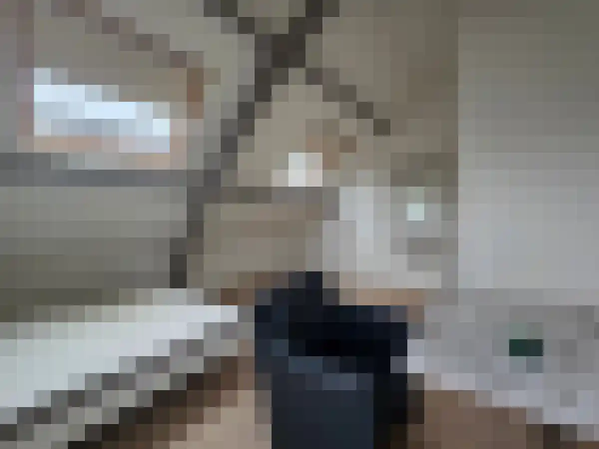 Delpratsingel Breda thumbnail 4