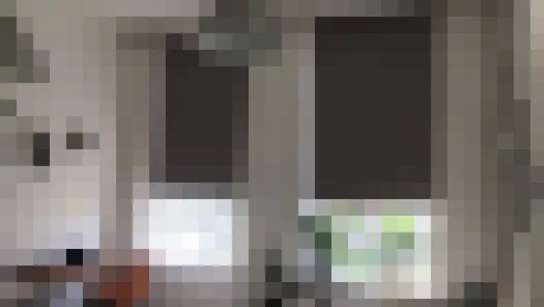 Delpratsingel Breda thumbnail 5
