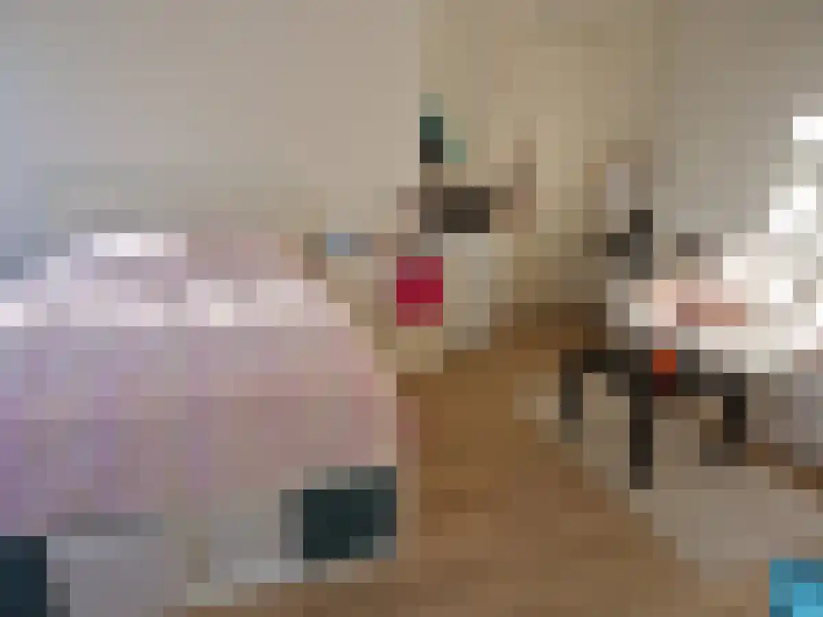 Delpratsingel Breda thumbnail 5
