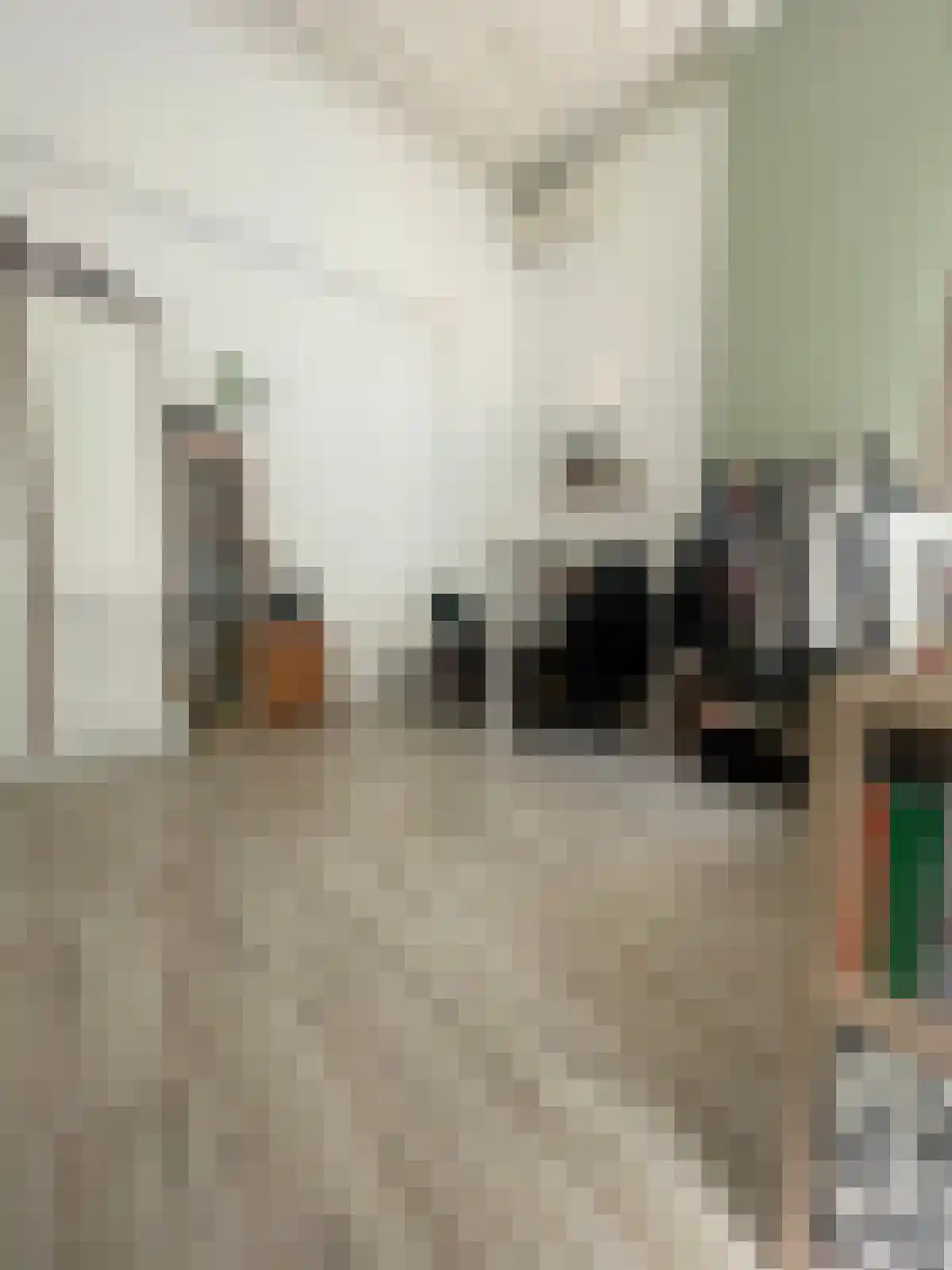 Delpratsingel Breda thumbnail 5