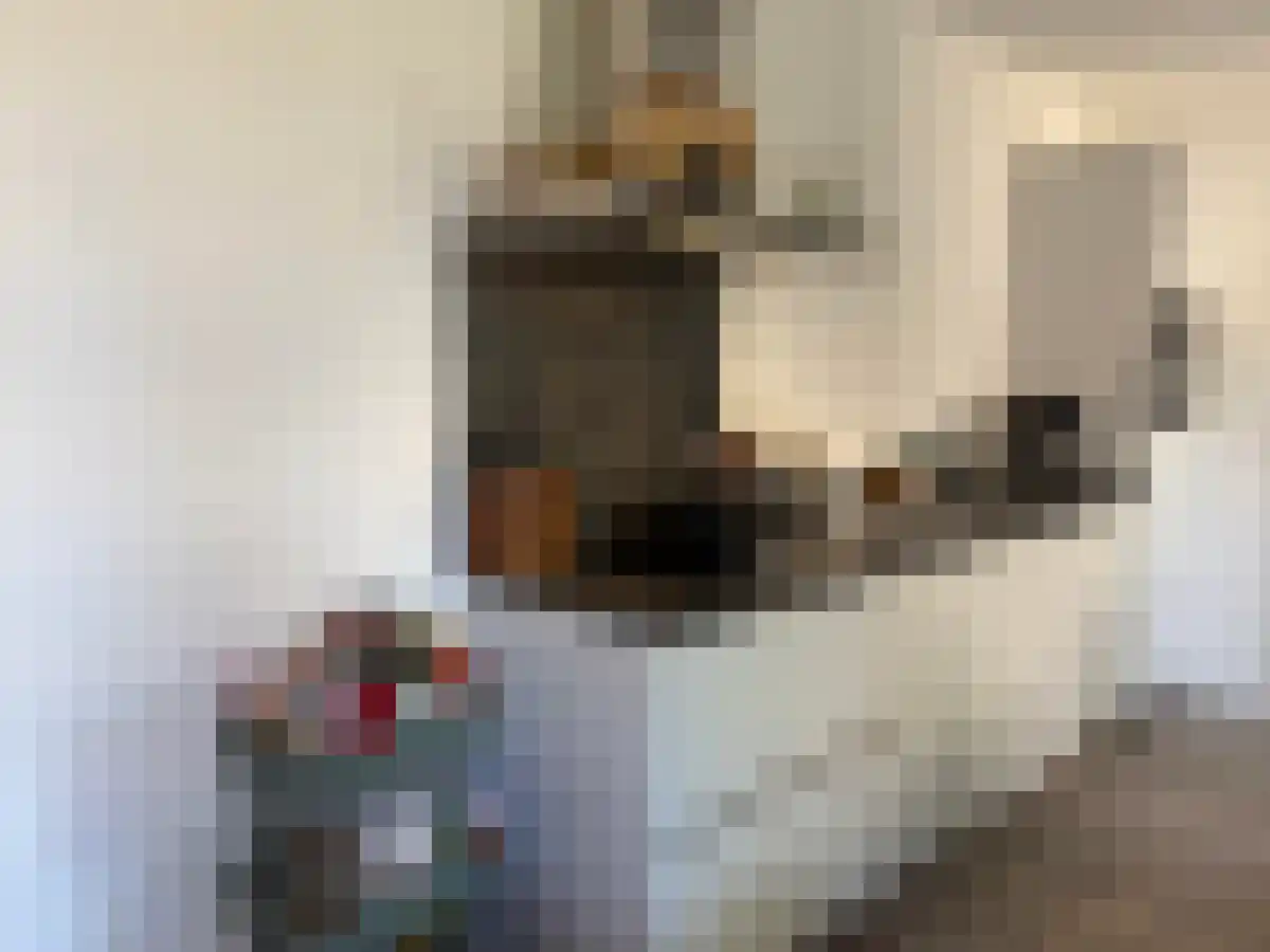 Delpratsingel Breda thumbnail 6