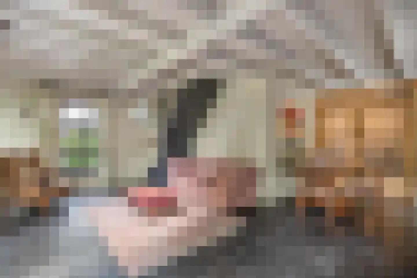 Delst 13 Nistelrode thumbnail 23