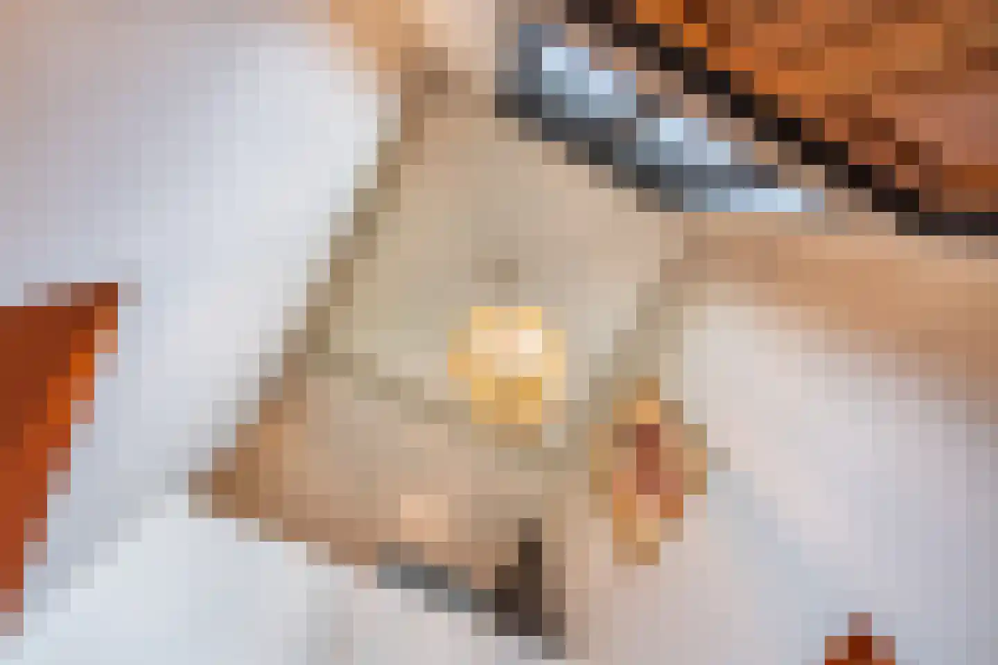 Delst 13 Nistelrode thumbnail 28