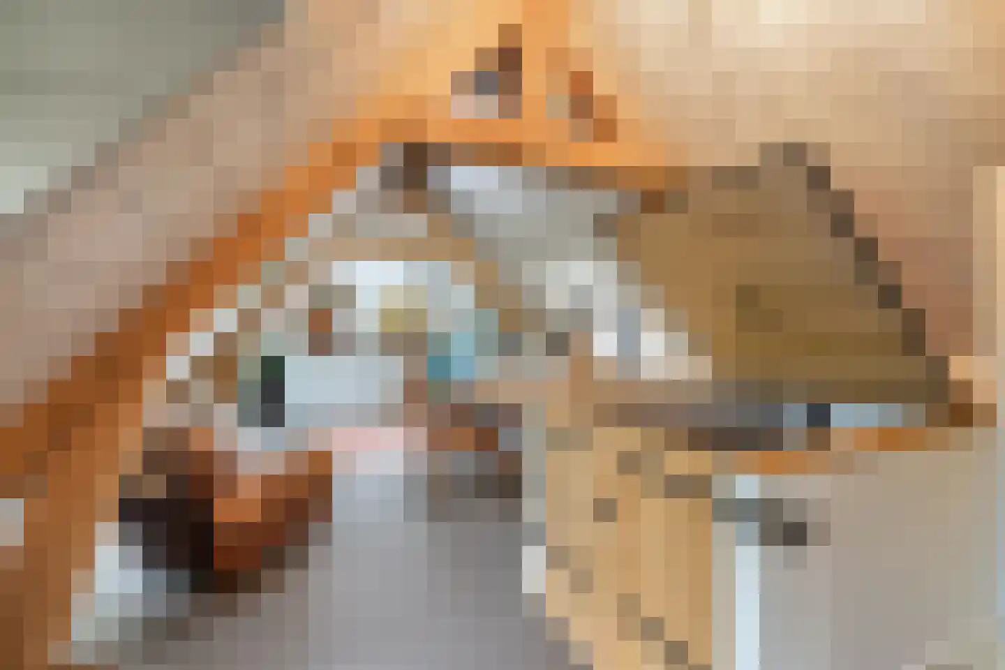 Delst 13 Nistelrode thumbnail 37