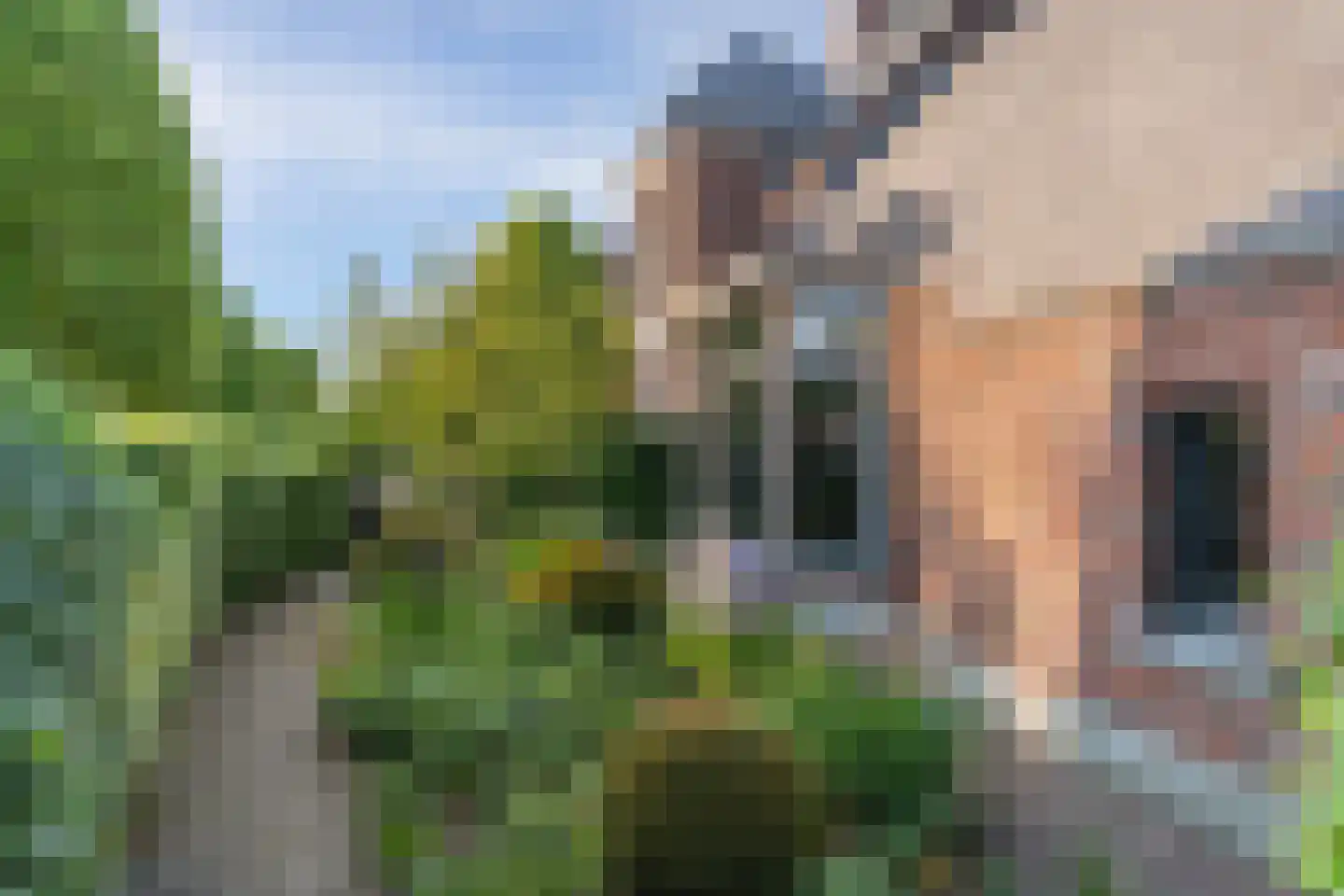 Delst 13 Nistelrode thumbnail 47