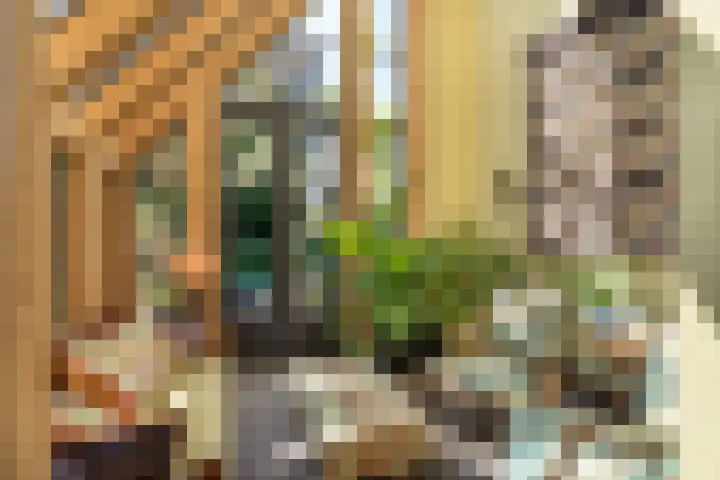 Delst 13 Nistelrode thumbnail 5