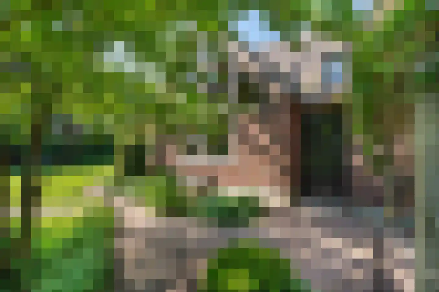 Delst 13 Nistelrode thumbnail 60