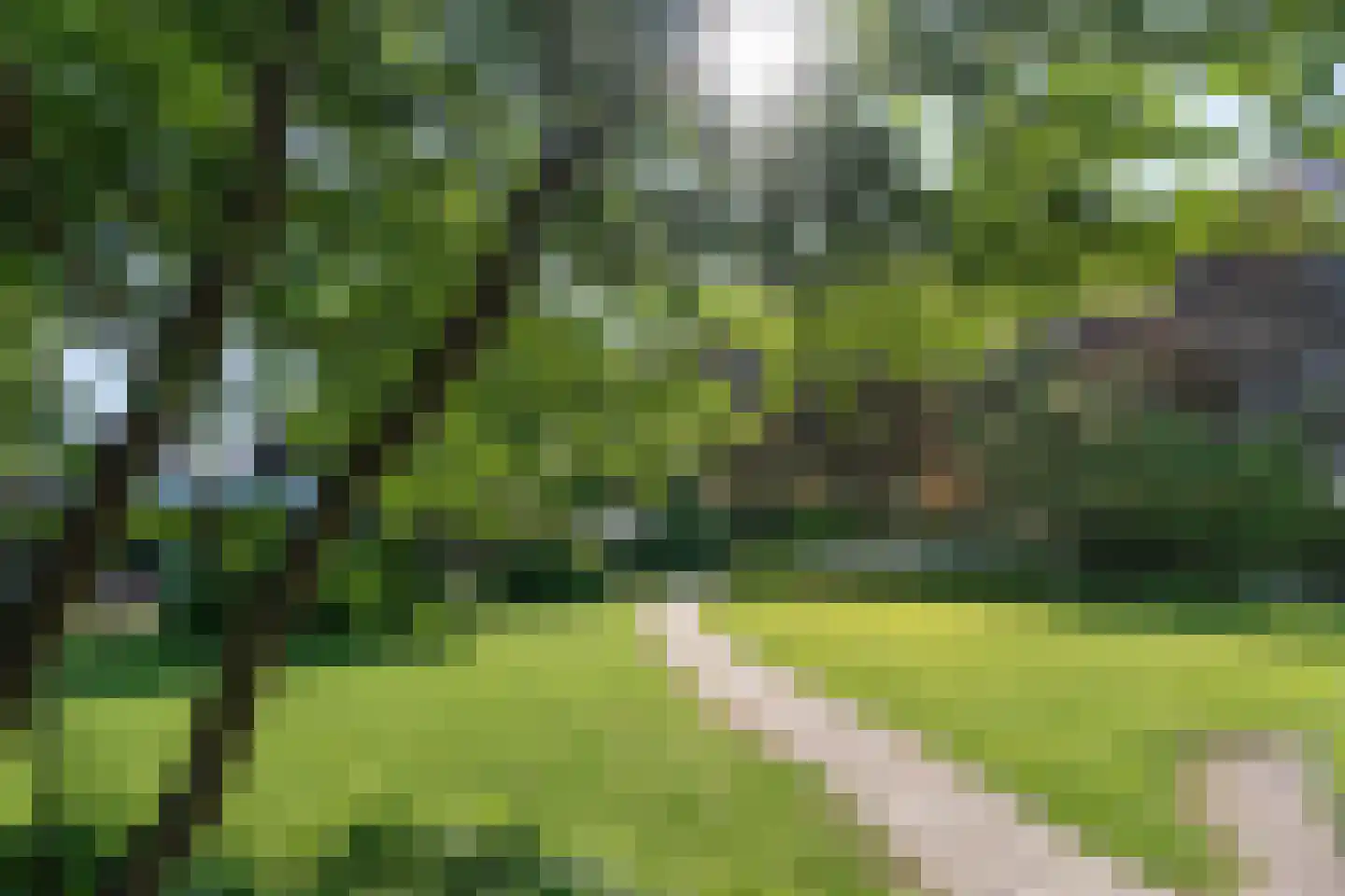 Delst 13 Nistelrode thumbnail 63