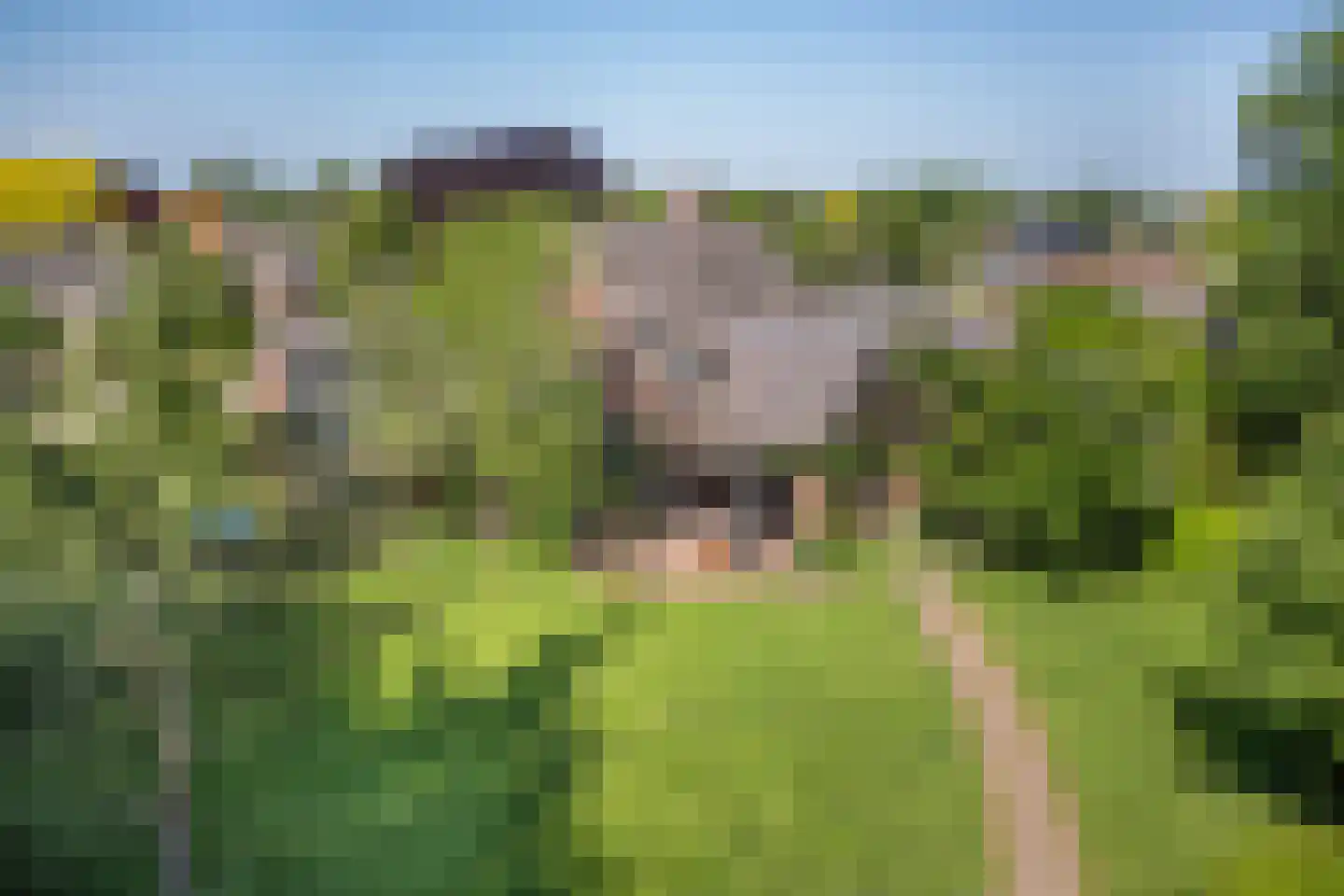 Delst 13 Nistelrode thumbnail 65
