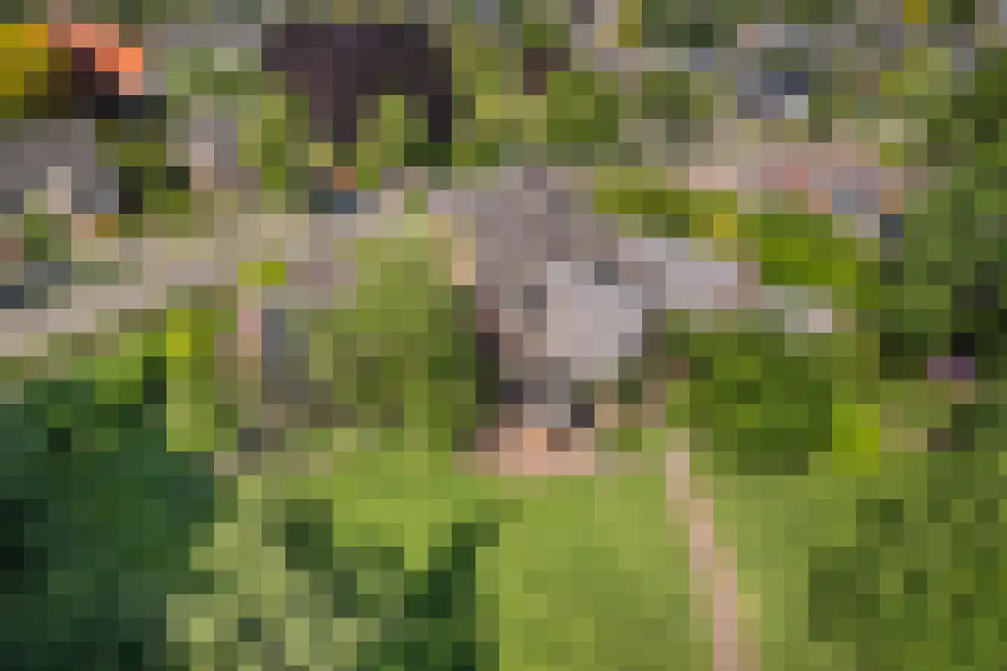 Delst 13 Nistelrode thumbnail 66