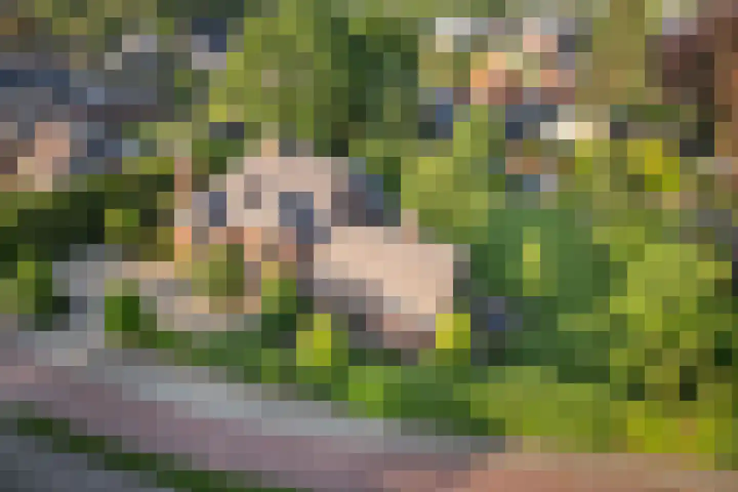 Delst 13 Nistelrode thumbnail 67