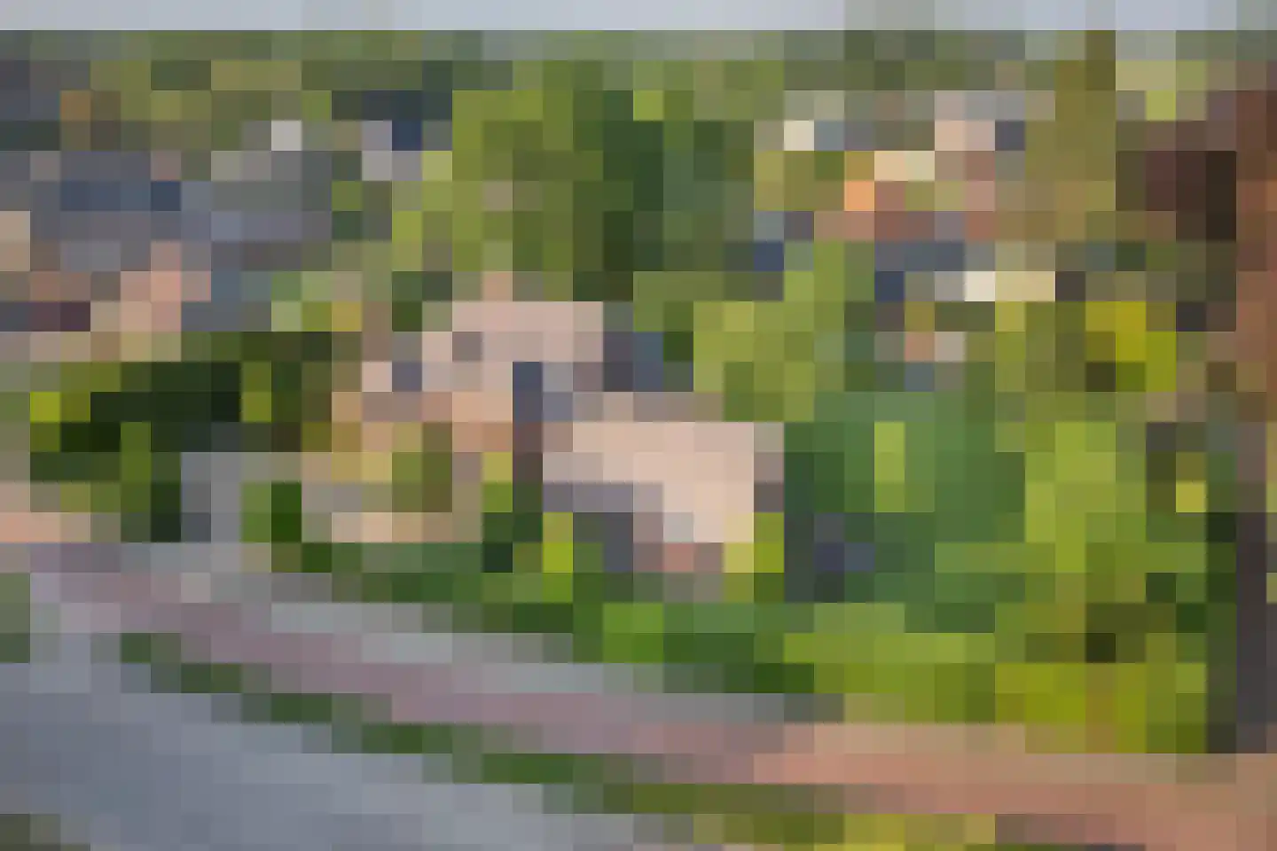 Delst 13 Nistelrode thumbnail 68
