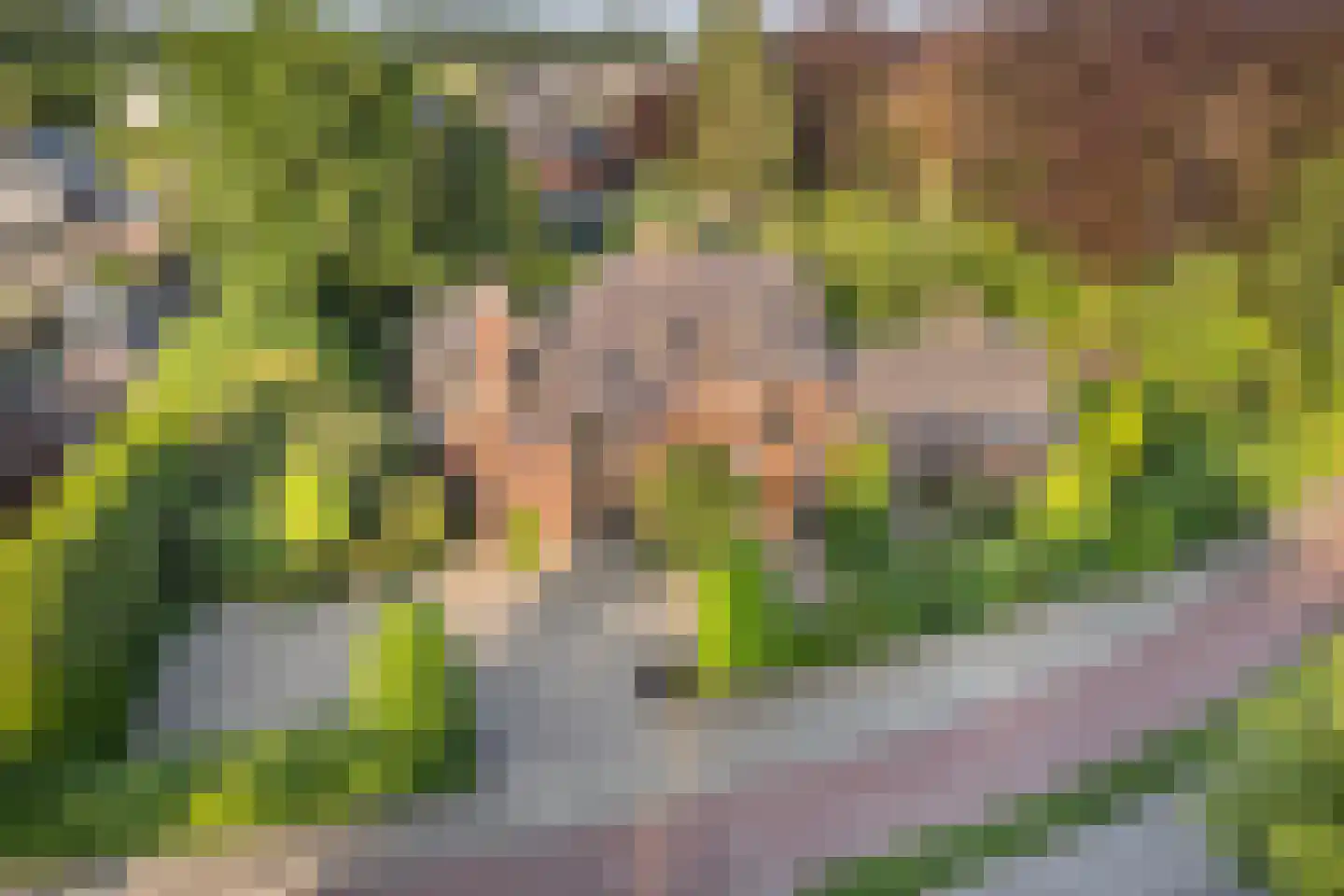 Delst 13 Nistelrode thumbnail 69