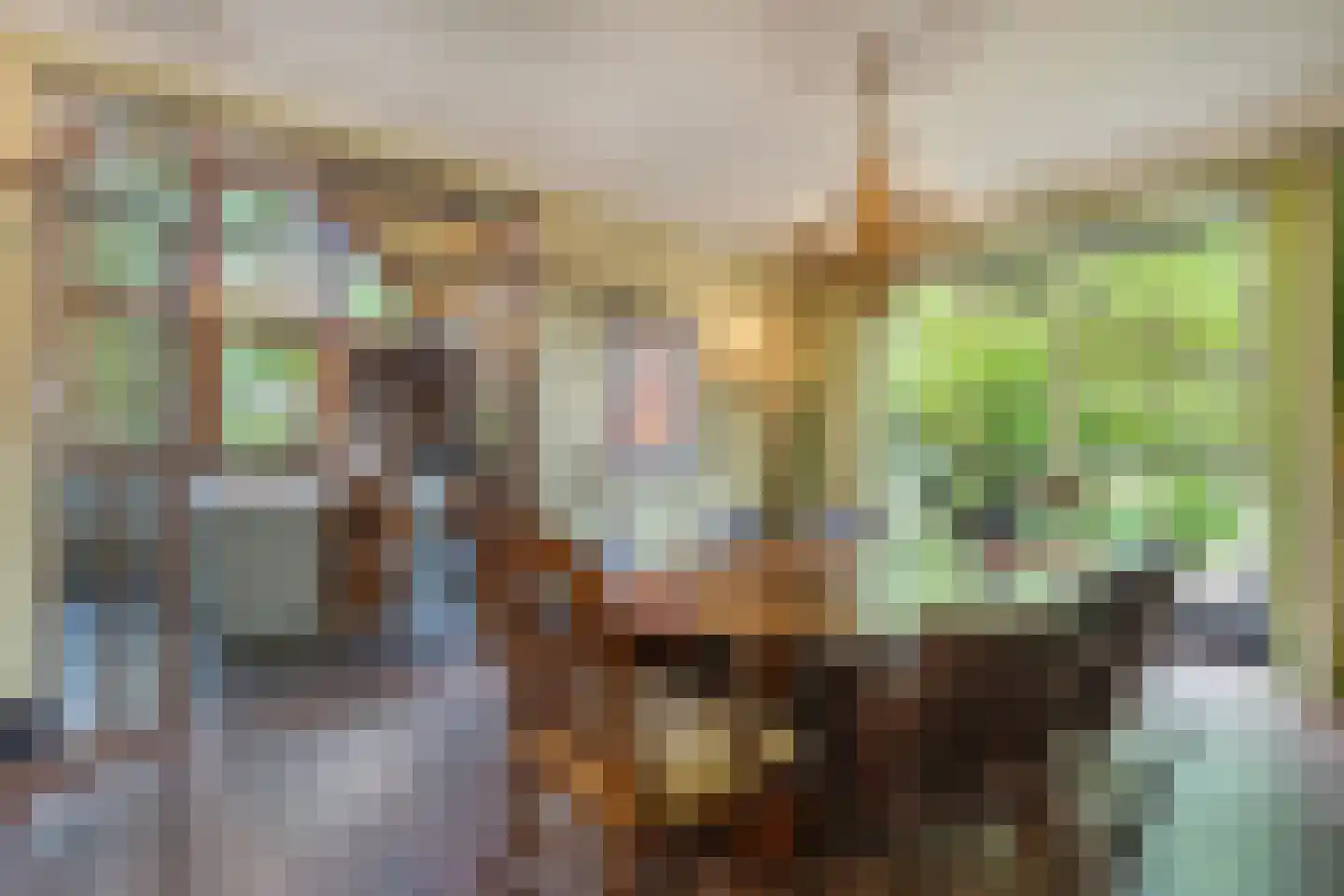 Delst 13 Nistelrode thumbnail 9