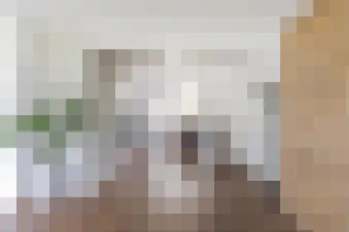 Delstraat 1 Lichtenvoorde thumbnail 12