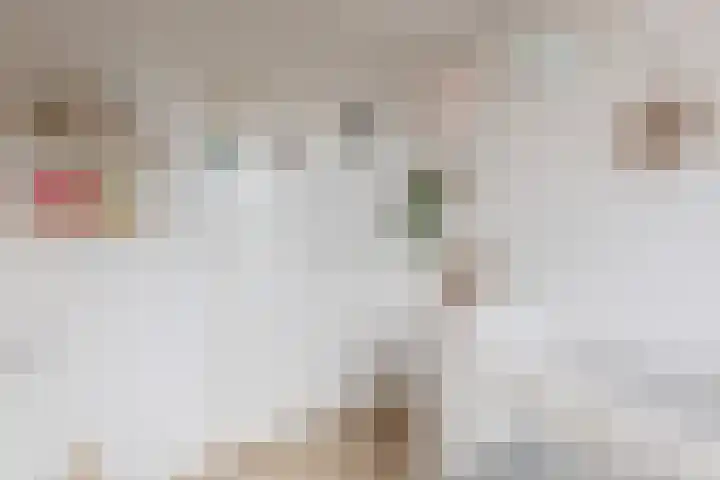 Delstraat 1 Lichtenvoorde thumbnail 32