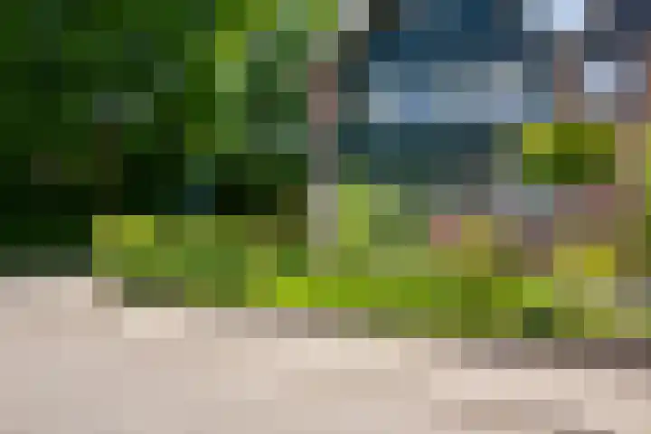 Delstraat 1 Lichtenvoorde thumbnail 5