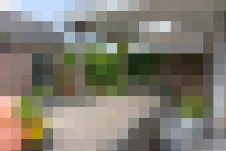 Delstraat 1 Lichtenvoorde thumbnail 50