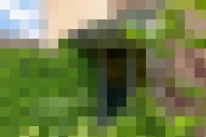 Delstraat 1 Lichtenvoorde thumbnail 7