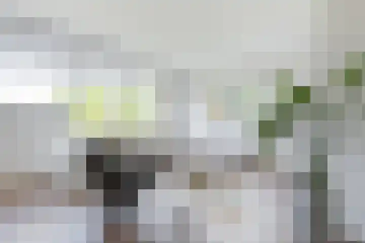 Delstraat 1 Lichtenvoorde thumbnail 8