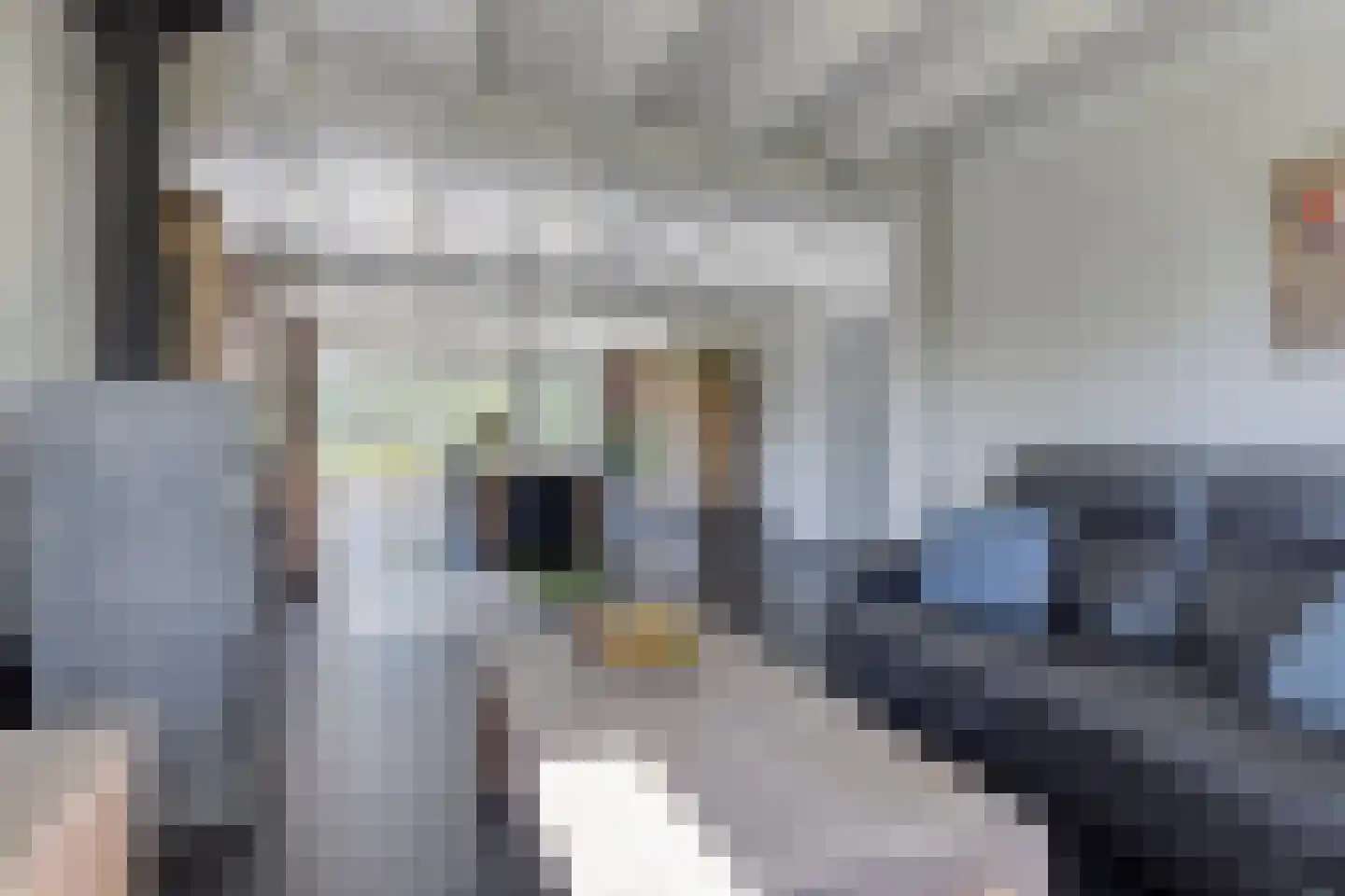 Delstraat 18 Uden thumbnail 12