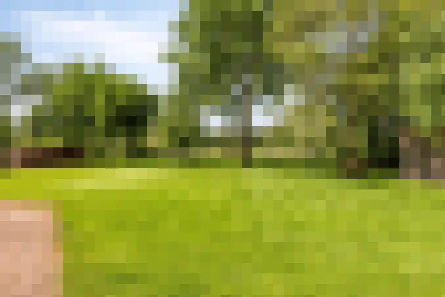 Delstraat 18 Uden thumbnail 44