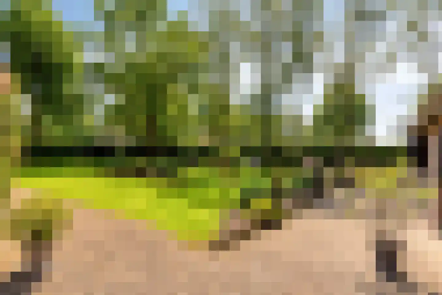 Delstraat 18 Uden thumbnail 49