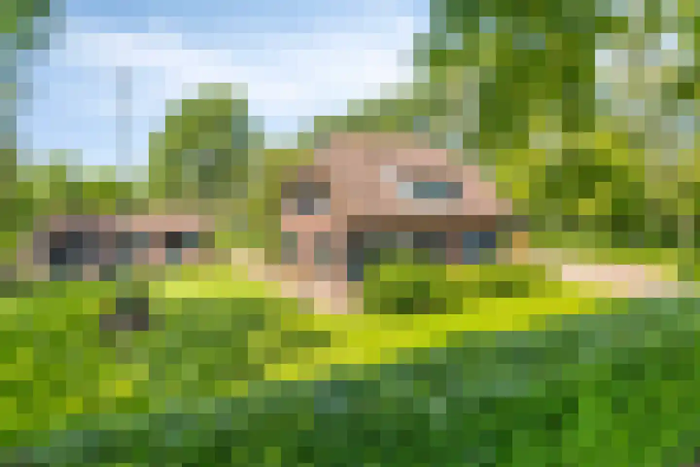 Delstraat 18 Uden thumbnail 5