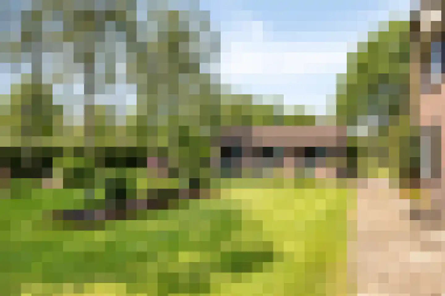 Delstraat 18 Uden thumbnail 50