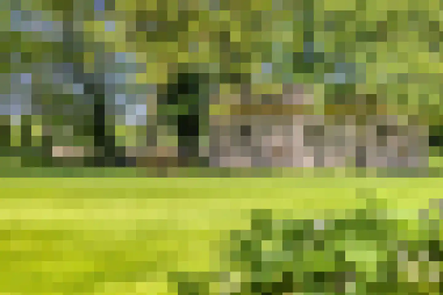 Delstraat 18 Uden thumbnail 54