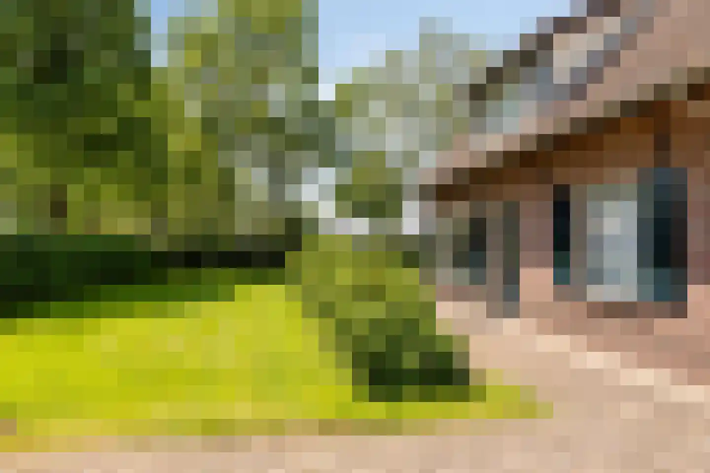 Delstraat 18 Uden thumbnail 57