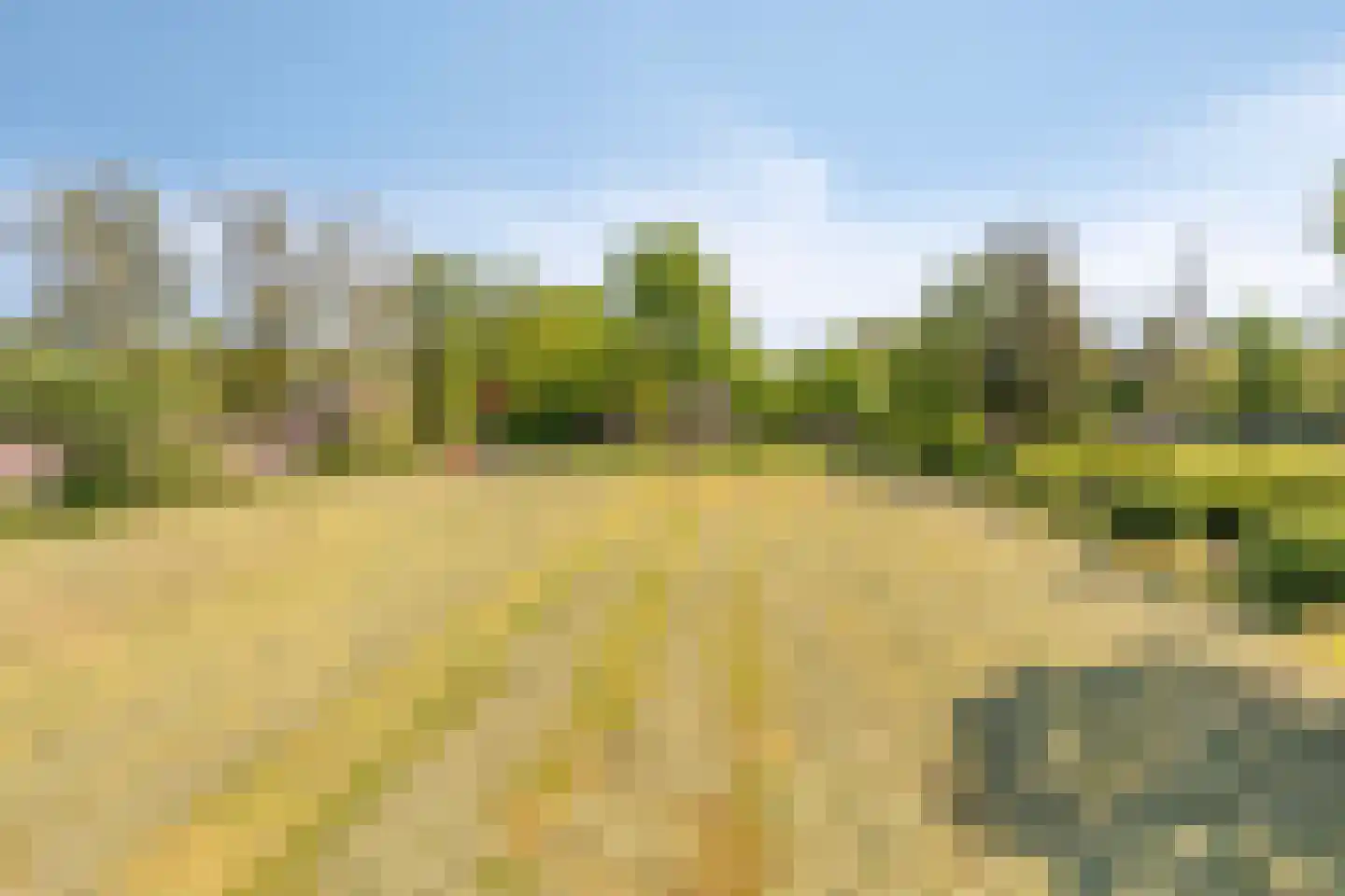 Delstraat 18 Uden thumbnail 58