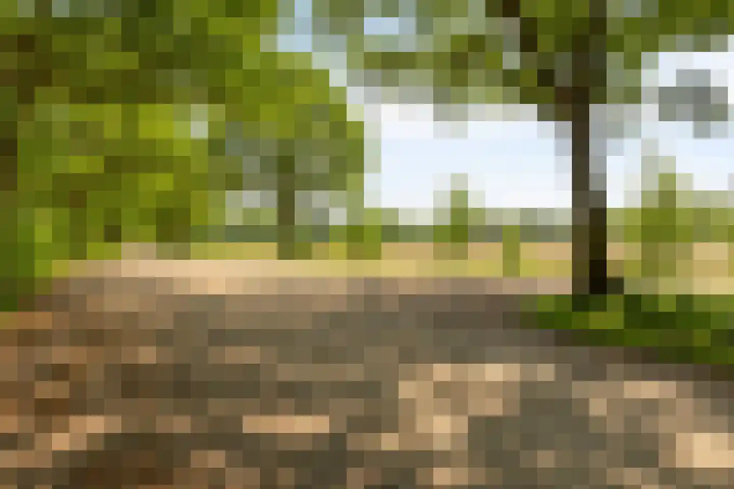 Delstraat 18 Uden thumbnail 59