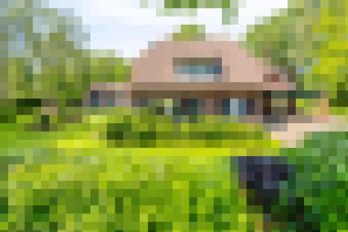Delstraat 18 Uden thumbnail 6