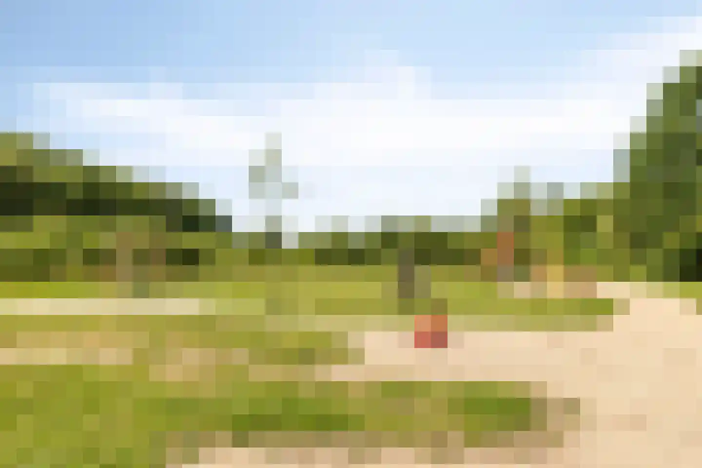Delstraat 18 Uden thumbnail 62