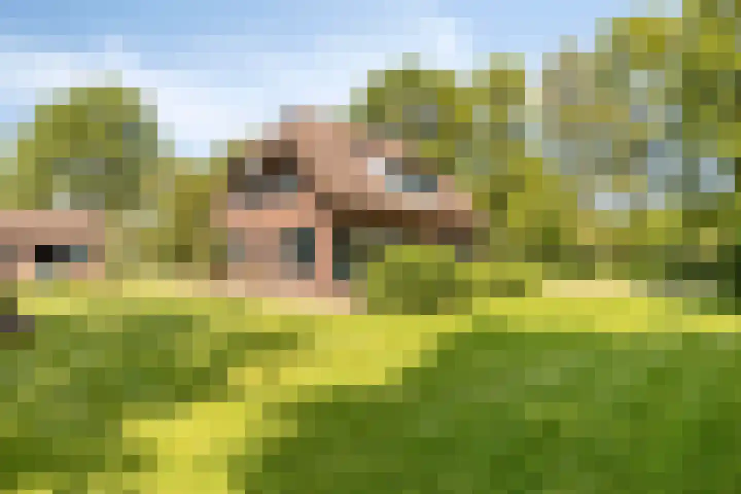 Delstraat 18 Uden thumbnail 65