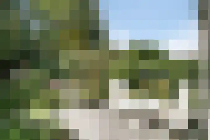 Delta 15 Lelystad thumbnail 30