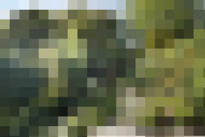 Delta 15 Lelystad thumbnail 31
